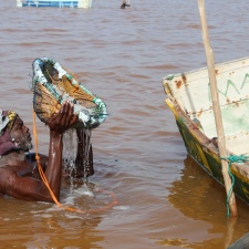 Senegal 4