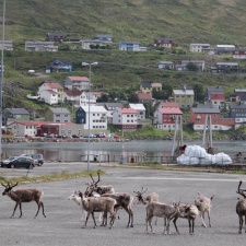 Norge 34