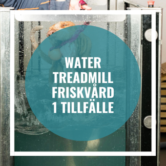 Water treadmill 1-tillfälle - Water treadmill 1 tillfälle