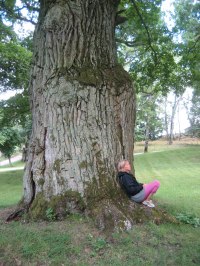 normal_blommor_i_handen normal_blommor_i_handen