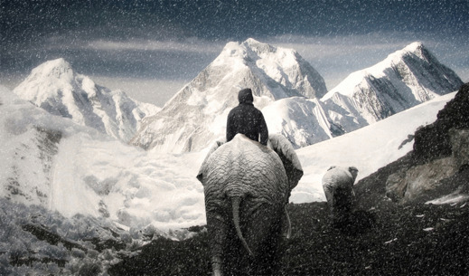 Hannibals elefanter över Alperna. Illustration: Richard Holmgren