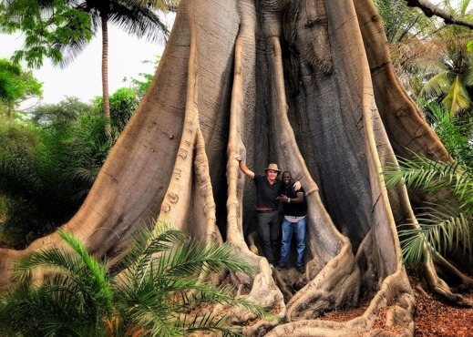 Richard Holmgren med Yerro Jallow vid ett gigantiskt kapokträd. Foto: Andreas Liljegren.