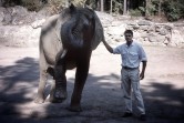 Richard Holmgren med Hannibals elefanter