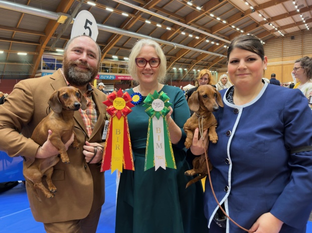 Taxcelent SIxten BIR på Växjö Int.