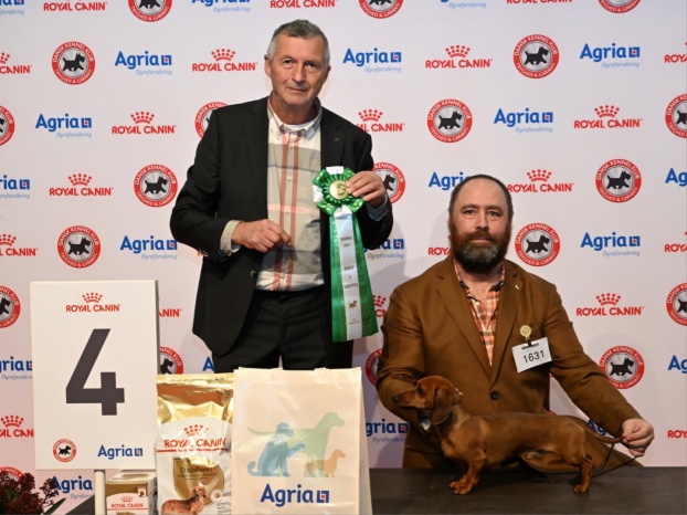 Taxcelent Sixten BIG-4 i taxarnas final på Nordisk Vinnare i Herning.