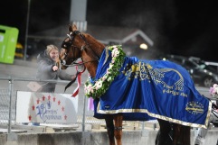 Queen Belina vinner Breeders Crown i år igen på Sundbyholm 231118