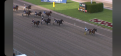 ORION inleder kriteriehelgen med vinst på Solvalla 251010 ORION inleder kriteriehelgen med vinst på Solvalla 251010