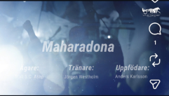 Maharadona vinner på Rommetravet 251229