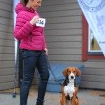 Kiwi äg, Sara Grundström Sorsele