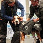 Segetäcket skall på 