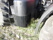 CASE IH PUMA CVX Bellyplate