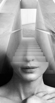 Intercultural leadership, crosscultural management, intercultural intelligence, intercultural communication, multicultural dynamics, crosscultural workplaces, author, consultant, consultant services, 