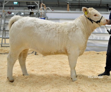 1209 A.Dessee av Askome