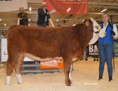 470 Dyna av Landeröd