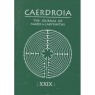 Caerdroia - The Journal of Mazes & Labyrinths (1981-1998) - 1998 No 29 (72 pages)