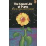 Tompkins, Peter & Bird, Christopher: The secret life of plants (Pb)
