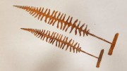 Stensötablad
