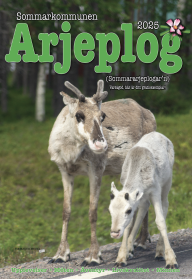 Läs senaste Arjeplogar'n här!
