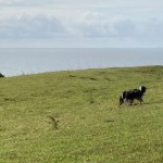 IMG_1317