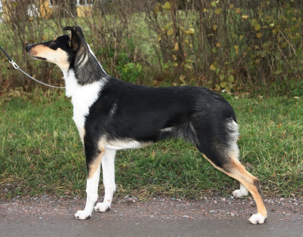6 månader 6 månader