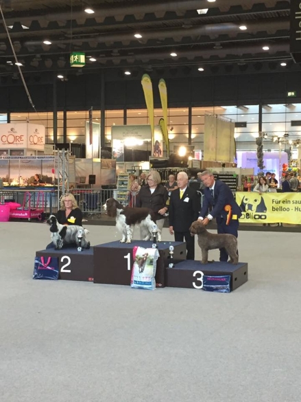 Anette & Martin Nilssons Multi CH. Bonebreaker's Championessa BIG-3 Anette & Martin Nilssons Multi CH. Bonebreaker's Championessa BIG-3