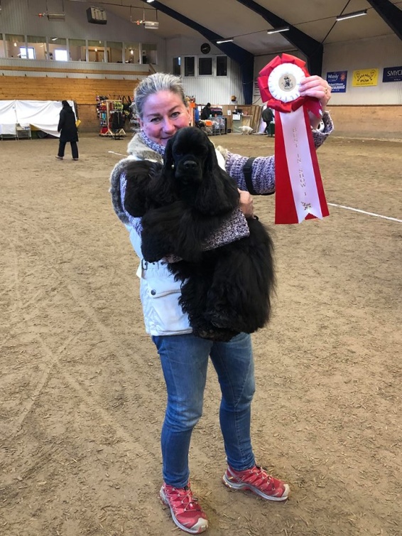Doris BEST IN SHOW Doris BEST IN SHOW