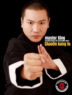 Shi Xingshan, huvudinstruktör Shaolin kung fu