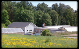 Emaus Blommor och Ting Emaus Blommor och Ting