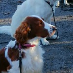 Månadsträff -22 närbild