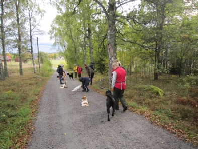 Vi ses på kurs i vår!!!