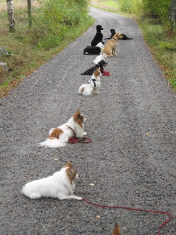 Vi ses på kurs i vår!!!