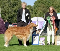 BIM: Stazcek's Diary of a Madman