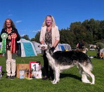 BIS: CH Borzowski's Dark Matter