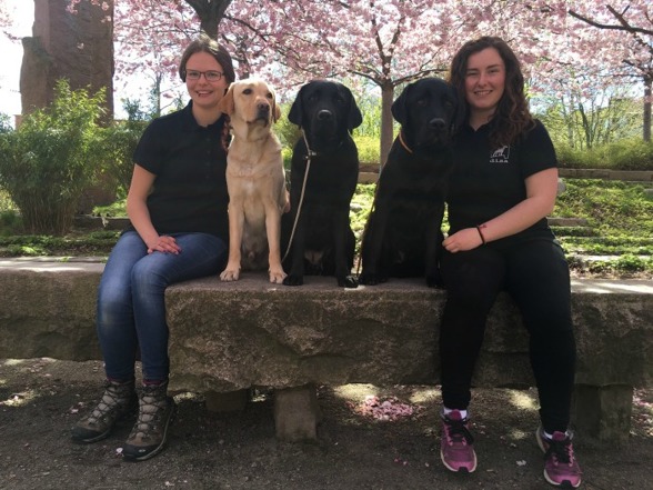 Hanna och Simona poserar sista dagen med labradorerna Rex, Ellie och Kingen, som är i träning till ledarhund. Extra proffsigt med DISA-tröjan på :).