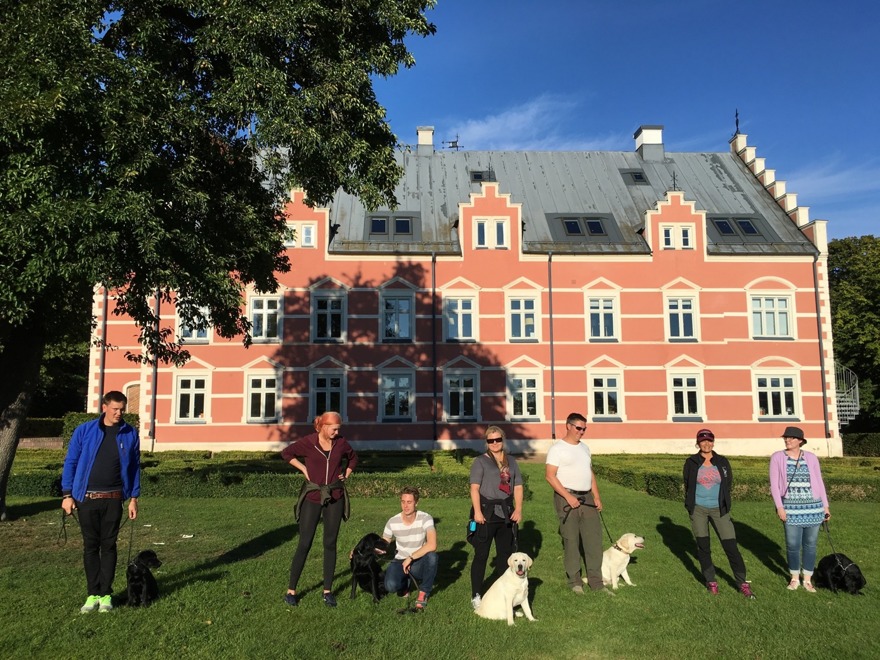 DISA ordnar alltid hundträffar/kurs för sina fodervärdar. På bilden ett gäng med labbar och fodervärdar i olika åldrar i träning med vackra Pålsjö slott i bakgrunden.