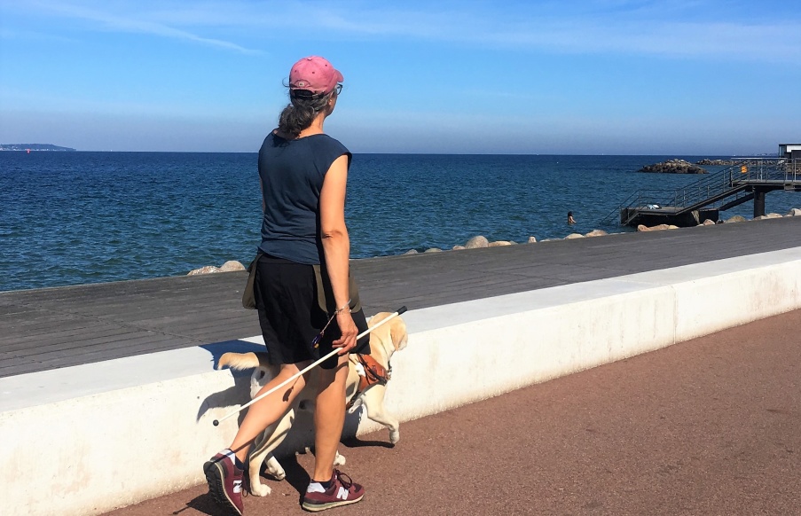 Anette training a yellow Labrador in harness with the sea in background.