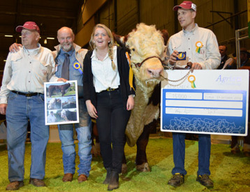Bårarps Jaguar T-110 winner of the first ever SIRE-PRIZE! On the photo: Olle W Larsson (owner), Einar, Olles granddaughter and nephew Anders Larsson Bårarps Jaguar T-110 winner of the first ever SIRE-PRIZE! On the photo: Olle W Larsson (owner), Einar, Olles granddaughter and nephew Anders Larsson