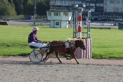 Bårarps Amanda 3år