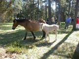 Hero och hans mamma Josefin. 