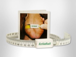 Pung måttband Reliabull - 