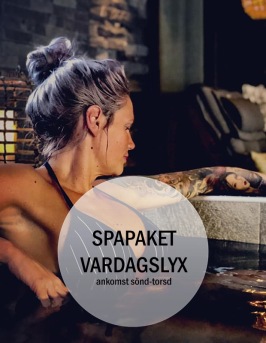 Spapaket VardagsLyx Hotell & Spa Lögnäs Gård