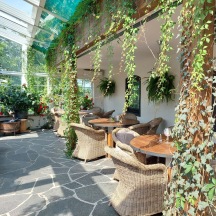 Vinter trädgården