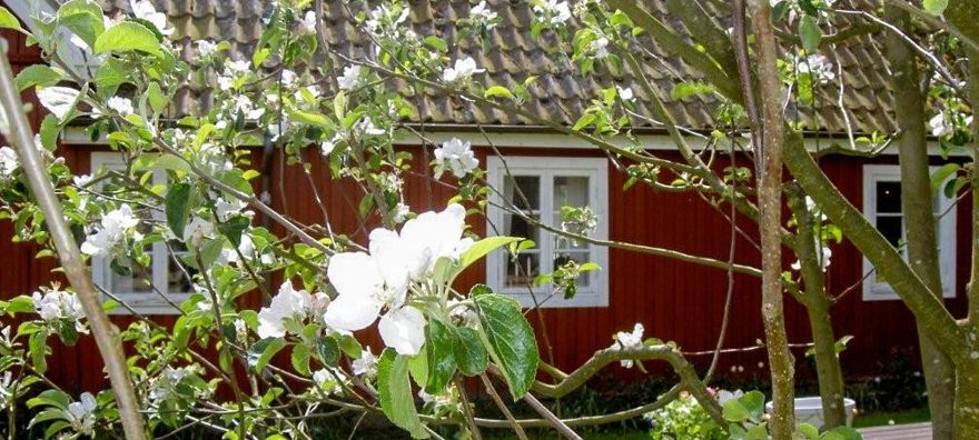 Butiken i Röda Huset ligger på lekplatsen i närheten av Bosjöklosters Café & Restaurang Butiken i Röda Huset ligger på lekplatsen i närheten av Bosjöklosters Café & Restaurang