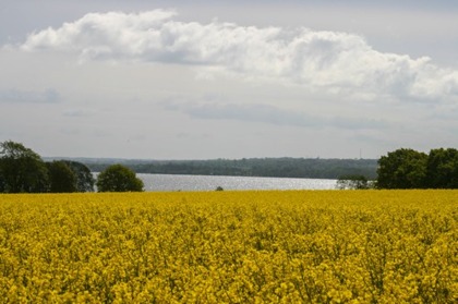Hjärtat av Skåne Hjärtat av Skåne