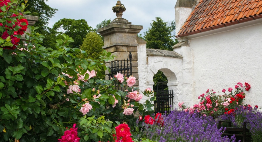 Das Bosjökloster ist seit 1908 im Privatbesitz der Familie Bonde. Die Familie bewohnt das Schloss, aber die ältesten Teile sind für Besucher zugänglich. Das Bosjökloster erhält keine öffentlichen Gelder von Gemeinde, Land, Staat oder der EU. Die Pflege und Erhaltung dieses einzigartigen Schlosses mit seinen wunderschönen Parkanlagen wird einzig und allein über die Einnahmen der Eintrittsgelder finanziert. Mit Ihrem Besuch unterstützen Sie den Erhalt des Bosjöklosters für die kommenden Generationen. Vielen Dank für Ihren Besuch! Das Bosjökloster ist seit 1908 im Privatbesitz der Familie Bonde. Die Familie bewohnt das Schloss, aber die ältesten Teile sind für Besucher zugänglich. Das Bosjökloster erhält keine öffentlichen Gelder von Gemeinde, Land, Staat oder der EU. Die Pflege und Erhaltung dieses einzigartigen Schlosses mit seinen wunderschönen Parkanlagen wird einzig und allein über die Einnahmen der Eintrittsgelder finanziert. Mit Ihrem Besuch unterstützen Sie den Erhalt des Bosjöklosters für die kommenden Generationen. Vielen Dank für Ihren Besuch!