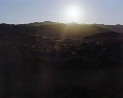Afternoon. Pigment print. 2015 Afternoon. Pigment print. 2015