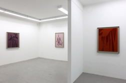 David Svensson. Soloshow - Drapings. Installationsbild David Svensson. Soloshow - Drapings. Installationsbild