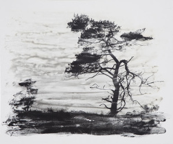 Lisa Strömbeck: From The Last Trees series, 2017, liquid light photography on wood, unique, 49x41 cm. Lisa Strömbeck: From The Last Trees series, 2017, liquid light photography on wood, unique, 49x41 cm.
