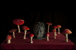 Untitled (amanita_muscaria). 2018. 75x50 cm Untitled (amanita_muscaria). 2018. 75x50 cm