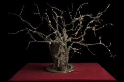Untilted (tree). 2018. 75x50 cm inkl glas och ram Untilted (tree). 2018. 75x50 cm inkl glas och ram